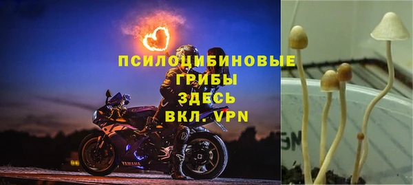 mdpv Абинск