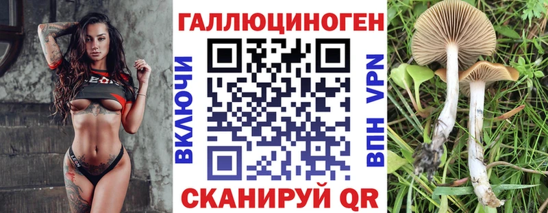Галлюциногенные грибы Psilocybe  Алапаевск 